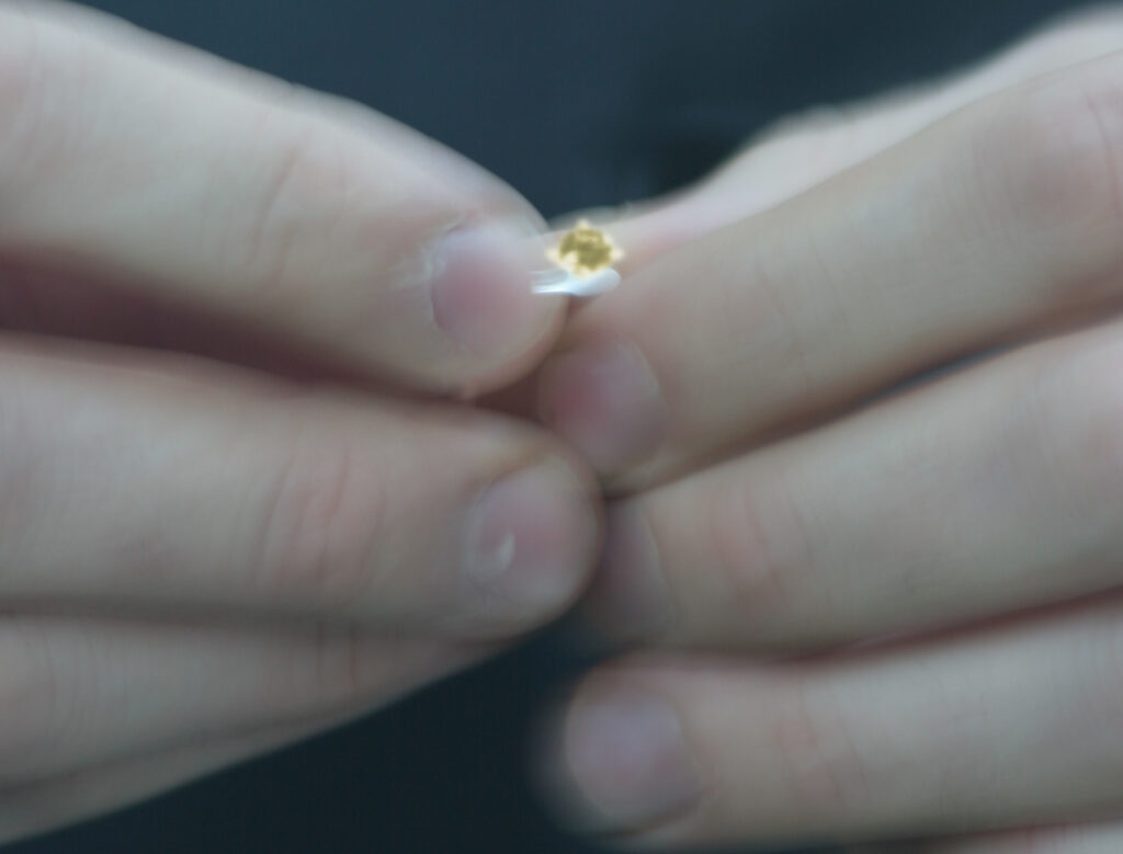 Engagement Rings Robert Young Jewellery